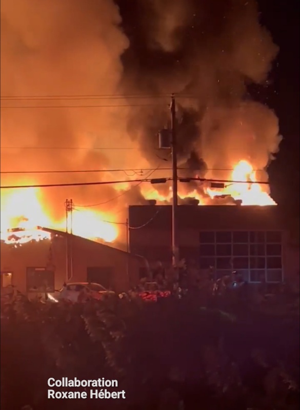 Screenshot 20231025 004104 Business Suite1W