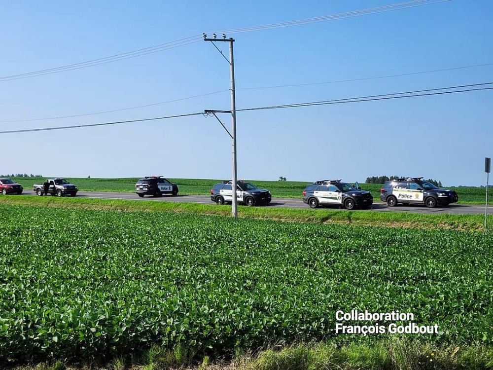 FB IMG 17209624723541W