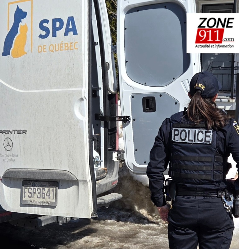 20250314 121646(0)1W