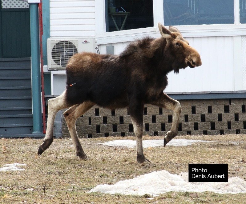 received 95955238738637861W