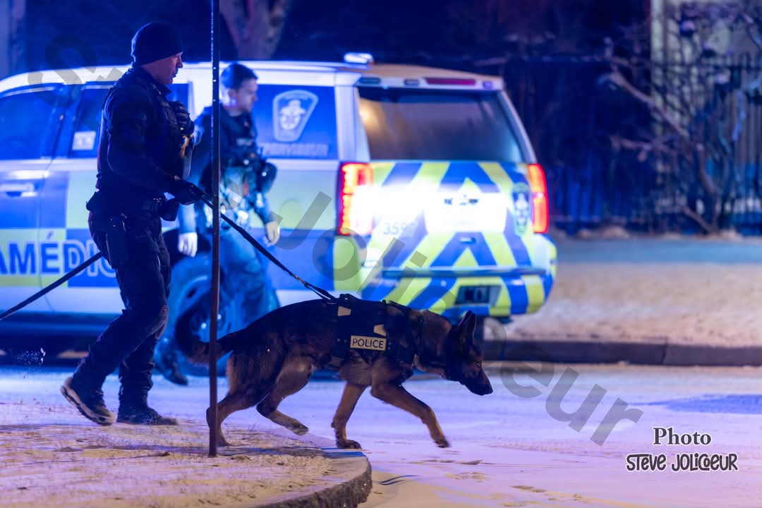 Invasion de domicile à Québec: Une personne âgée blessée et transportée à l'hôpital 