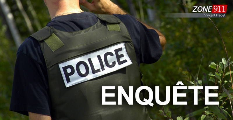 Découverte inquiétante d’ossements en Gaspésie : la SQ ouvre une enquête